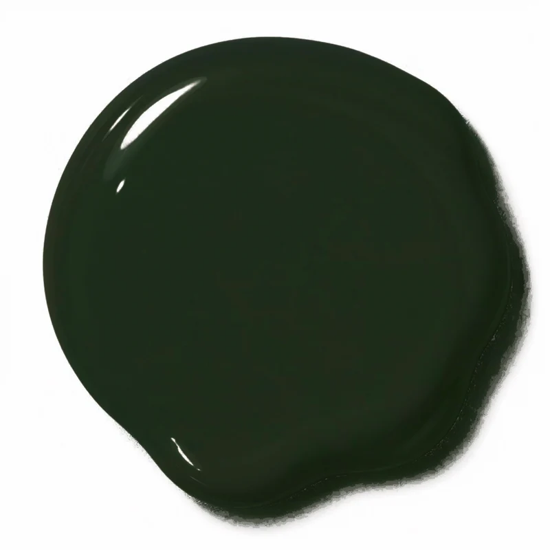 Gelaxy Shellac #0341 Premium-PURE Dunkles Tannengrün 15 ml
