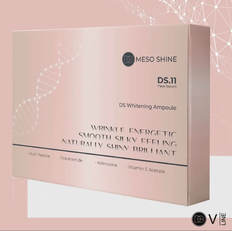 DS MESO 11 SHINE REPAIR MAINTENANCE