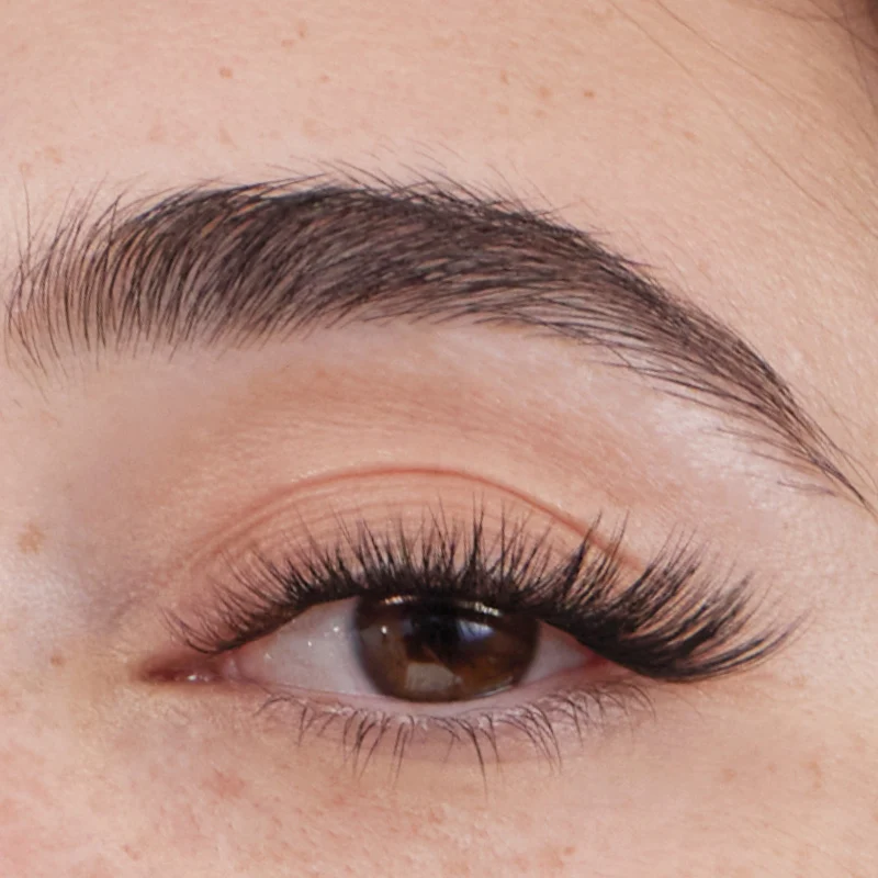 The Cat Eye Gossamer® Bundle