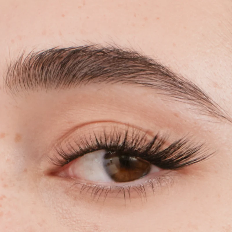 The Fox Eye Gossamer® Bundle