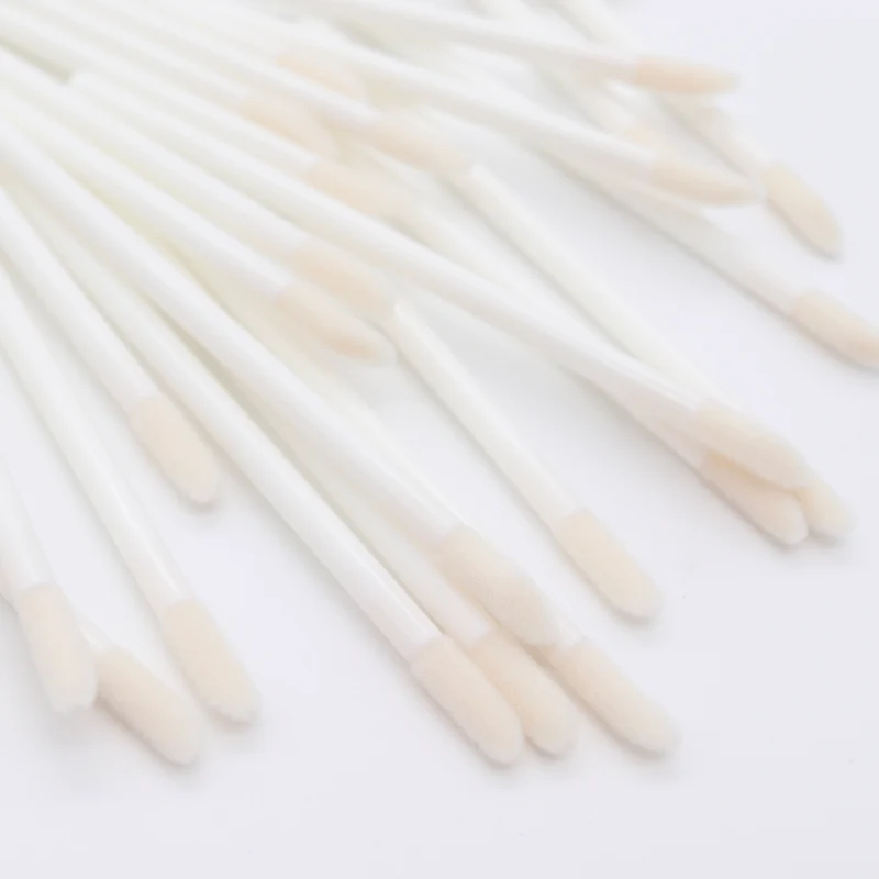 Lip Brushes